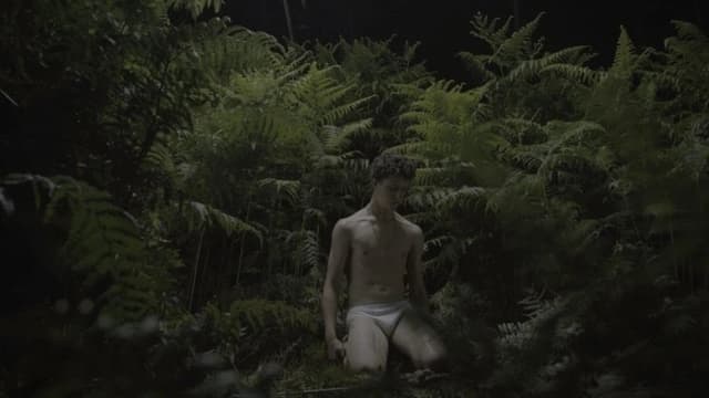 New Queer Visions: The Last Days of Innocence