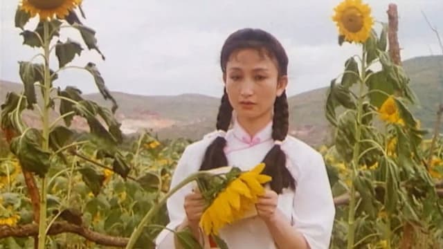 Qíngrén de xuè tèbié hóng