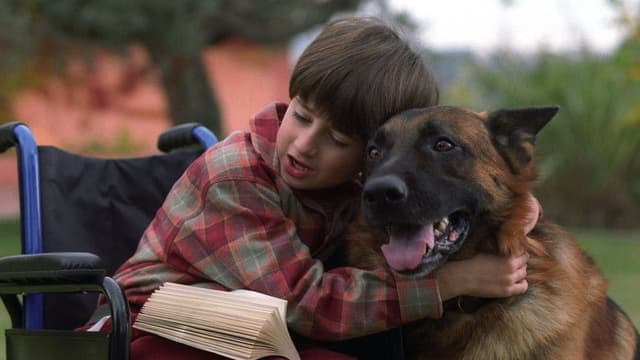 Il destino ha 4 zampe