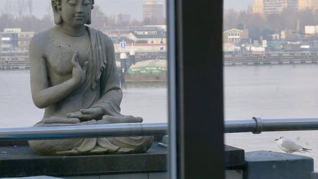 The Mirror and the Window