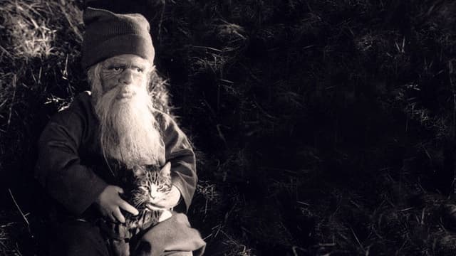 Tomten: A Winter Tale