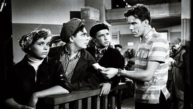 The Sun and the Rain