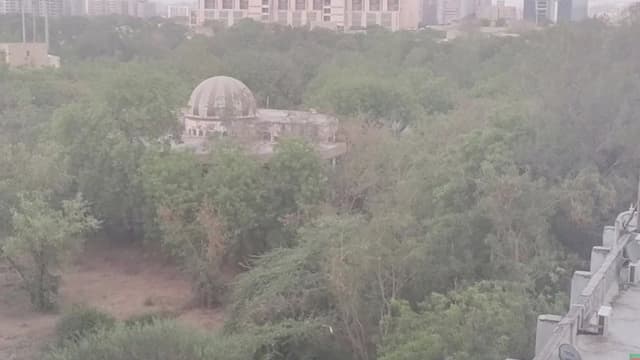 People to Peepal