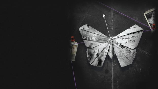 Wild Butterfly