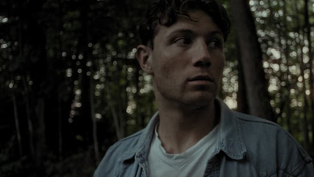 DARIO - How To Not Change The World