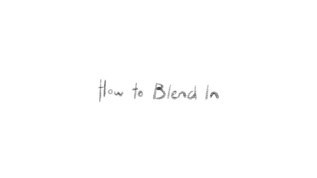 How to Blend In