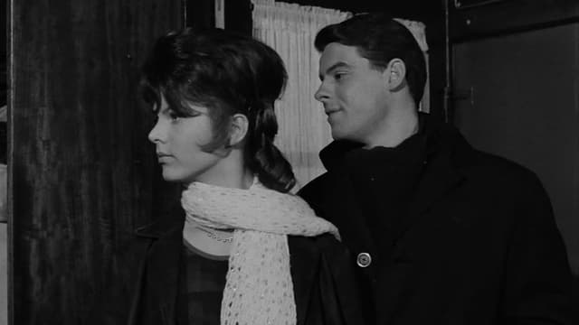 Days of Sin and Nights of Nymphomania