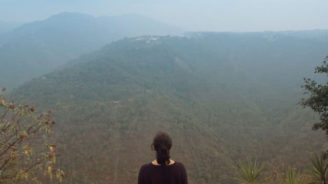 Nobody, Not Even the Mist