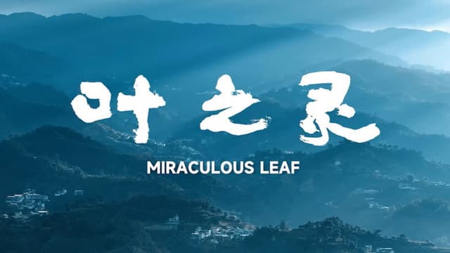 Miraculous Leaf