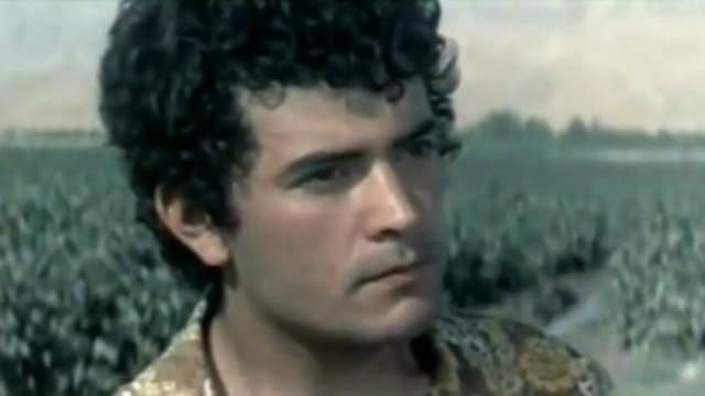 One Life is Not Enough