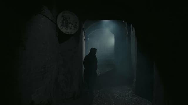 The House with Laughing Windows