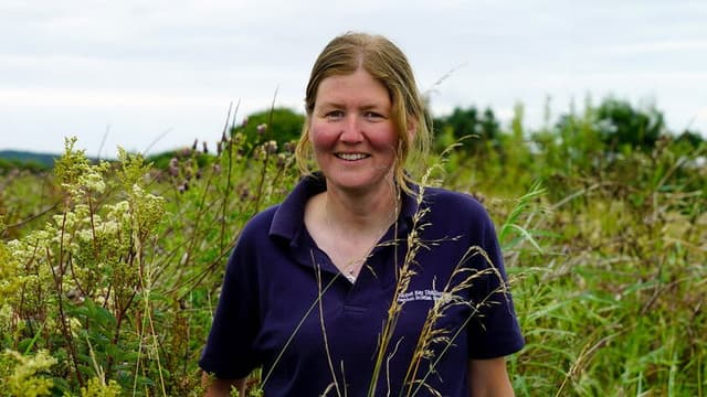 Britain's Most Beautiful Road