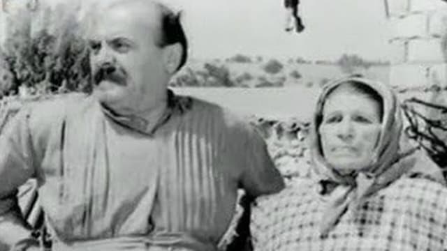 They ere all... Fools!