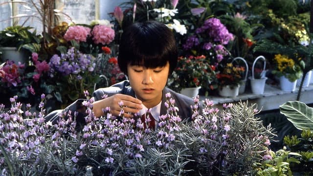 The Girl Who Leapt Through Time