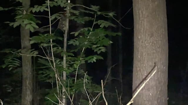 vingt deux heures vingt deux.