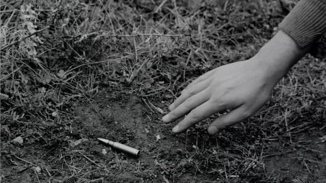 Four Days of a Partisan