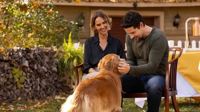 Love Is a Dog's Best Friend