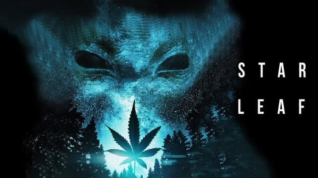 Star Leaf
