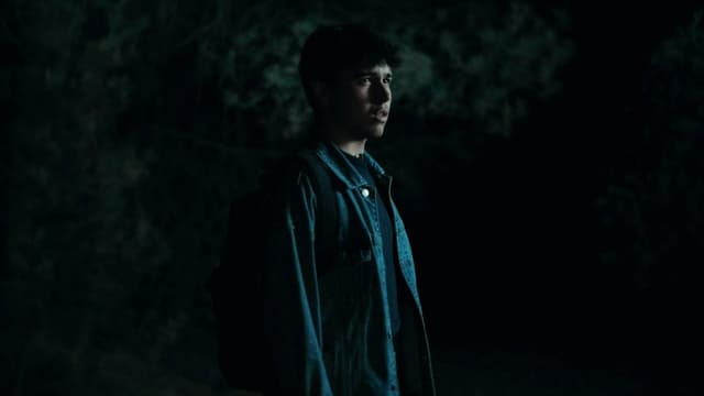 The Echo Forest