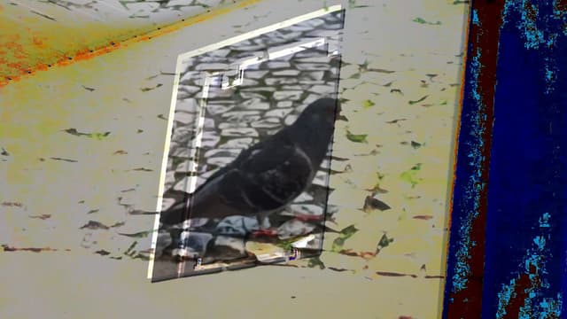 não tenho dormido muito mas continuo sonhando a cada piscada