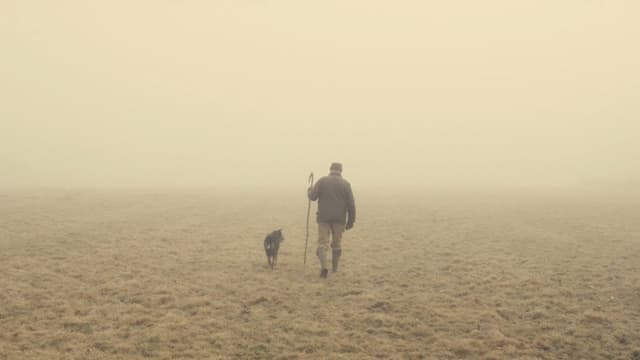 The Old Man and the Land