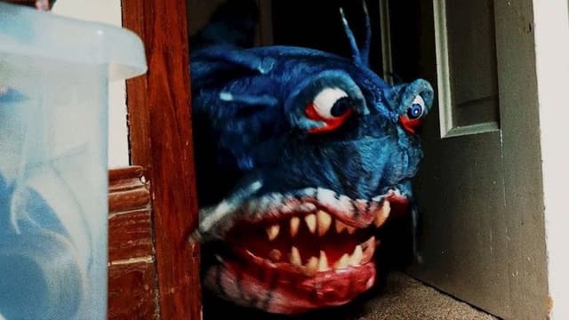 Doll Shark