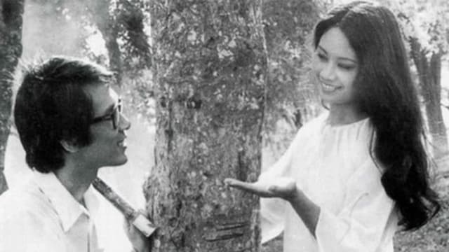 The Town Within Reach