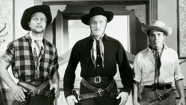 Villin Pohjolan kulta