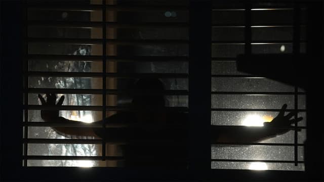 Spread: Pigs to Slaughter