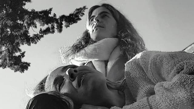 Las Flores Del Campo Santo