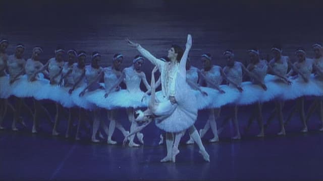 Tchaikovsky: Swan Lake
