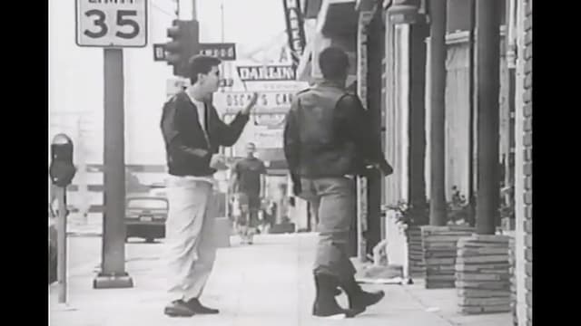 The Natural History of Parking Lots