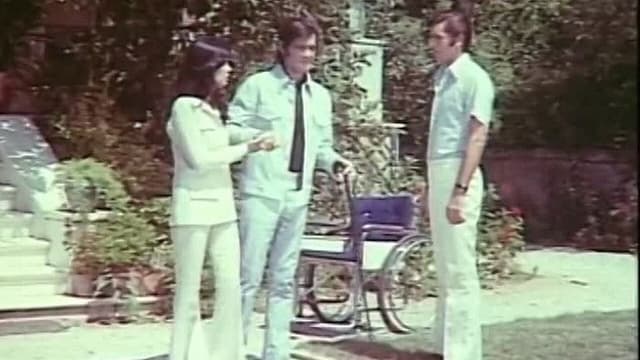 Captives of Pleasure