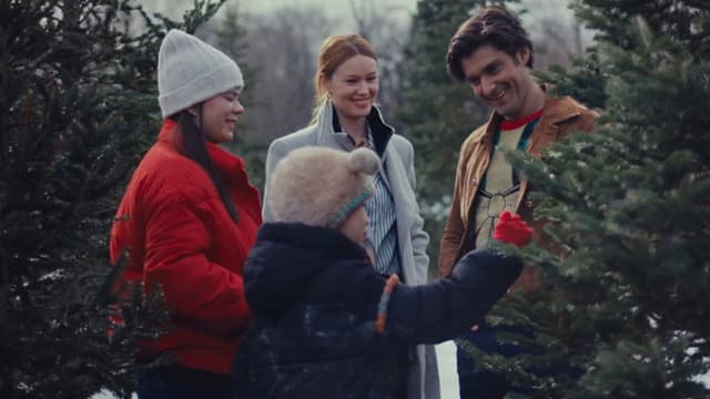 An Unexpected Christmas Plan