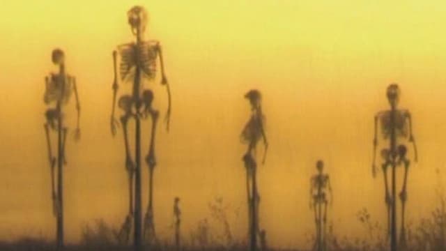 Visions of Suffering