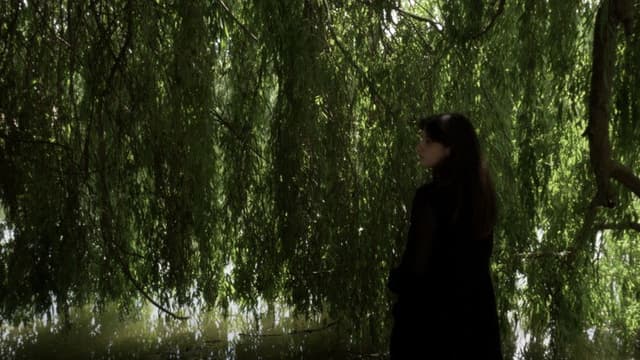 Que reste-t-il de nous ?