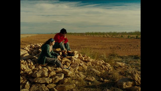 La Fábula de la Punki Adolescente