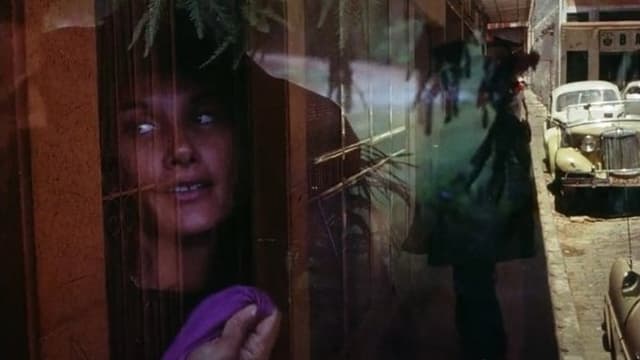 The Werewolf: A Midnight Terror