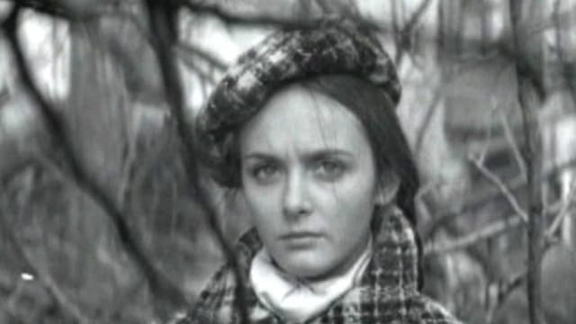 No One in Your Place