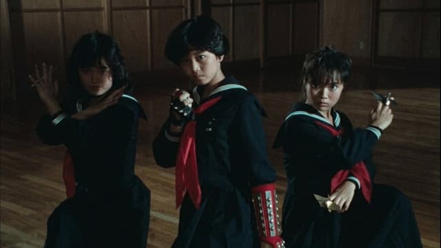 Sukeban Deka III: Romance of the Ninja Girls