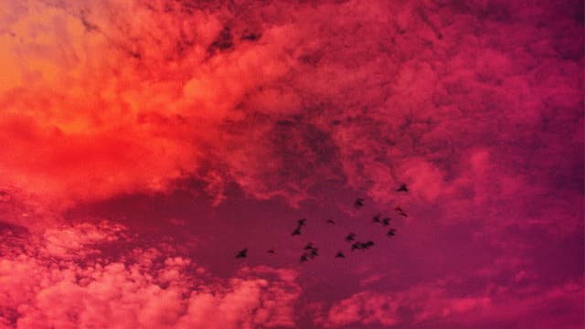 Taking my Time to Dance