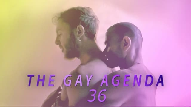 The Gay Agenda 36
