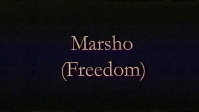 Freedom