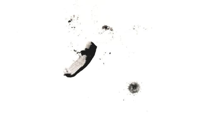 Proceso creativo de una mente sin ideas (PCDUMSI)