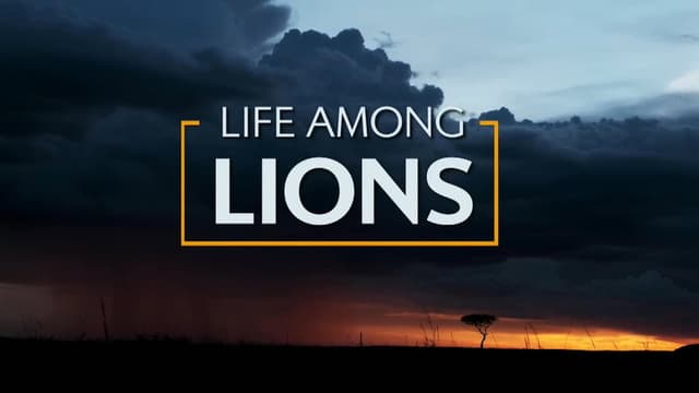 Life Among Lions
