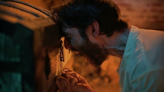 Night of the Werewolves