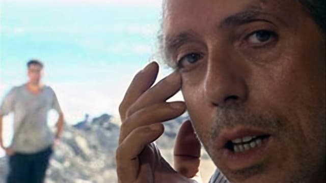 Regards D'en Face - Alger