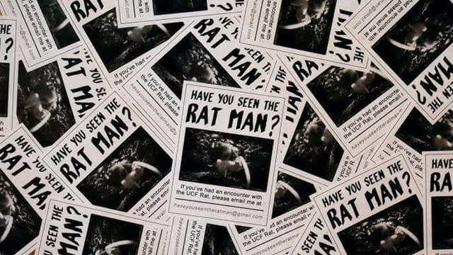 Have You Seen The Ratman?