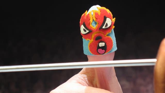 Thumb Wrestling Federation