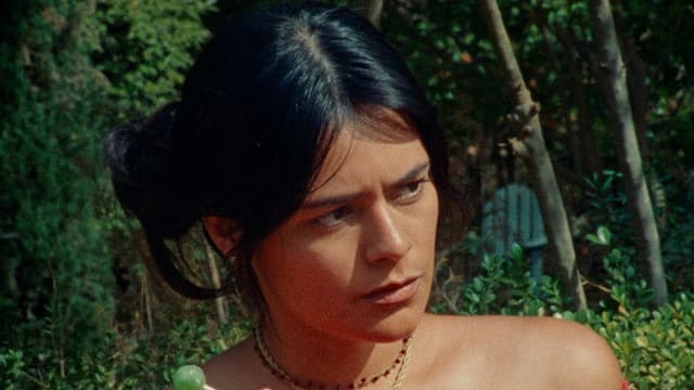 Everyone Loves Björk